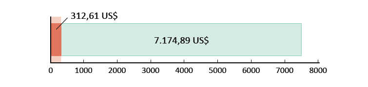 312,61 US$ spesi; 7.174,89 US$ rimanenti