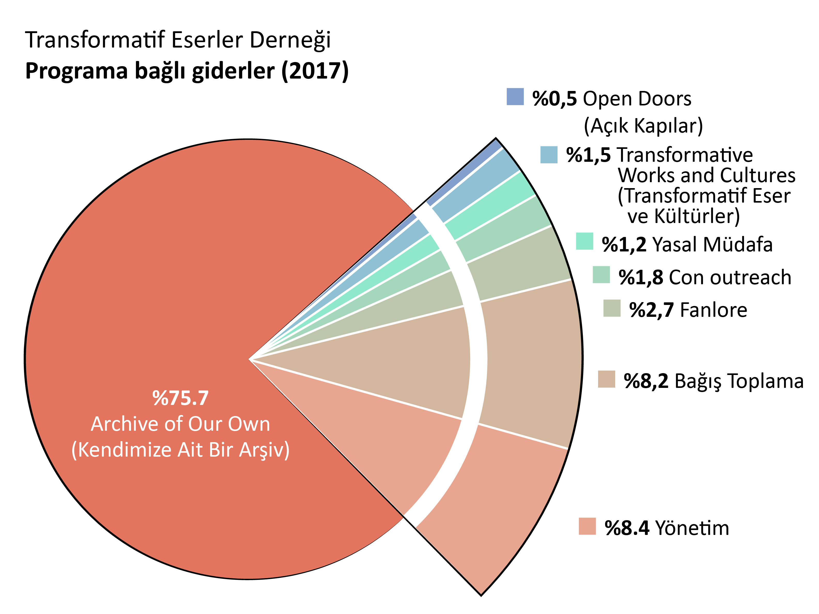 Programa bağlı giderler:Archive of Our Own - AO3 (Kendimize Ait Bir Arşiv): %75.7. Open Doors (Açık Kapılar): %0.5.Transformative Works and Cultures - TWC (Transformatif Eser ve Kültürler): %1.5. Fanlore: %2.7. Legal Advocacy (Yasal Müdafa): %1.2 Con Outreach: %1.8. Admin: %8.4. Para Toplama:%8.2